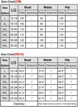 Load image into Gallery viewer, Hot Sale Plus Size Tankini Swimsuits for Women Two Piece Swim Dress Flare Flowy Bathing Suits