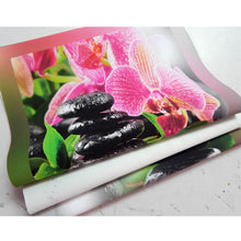 Load image into Gallery viewer, Chakras Knowledge Canvas Painting, Plant Posters And Prints